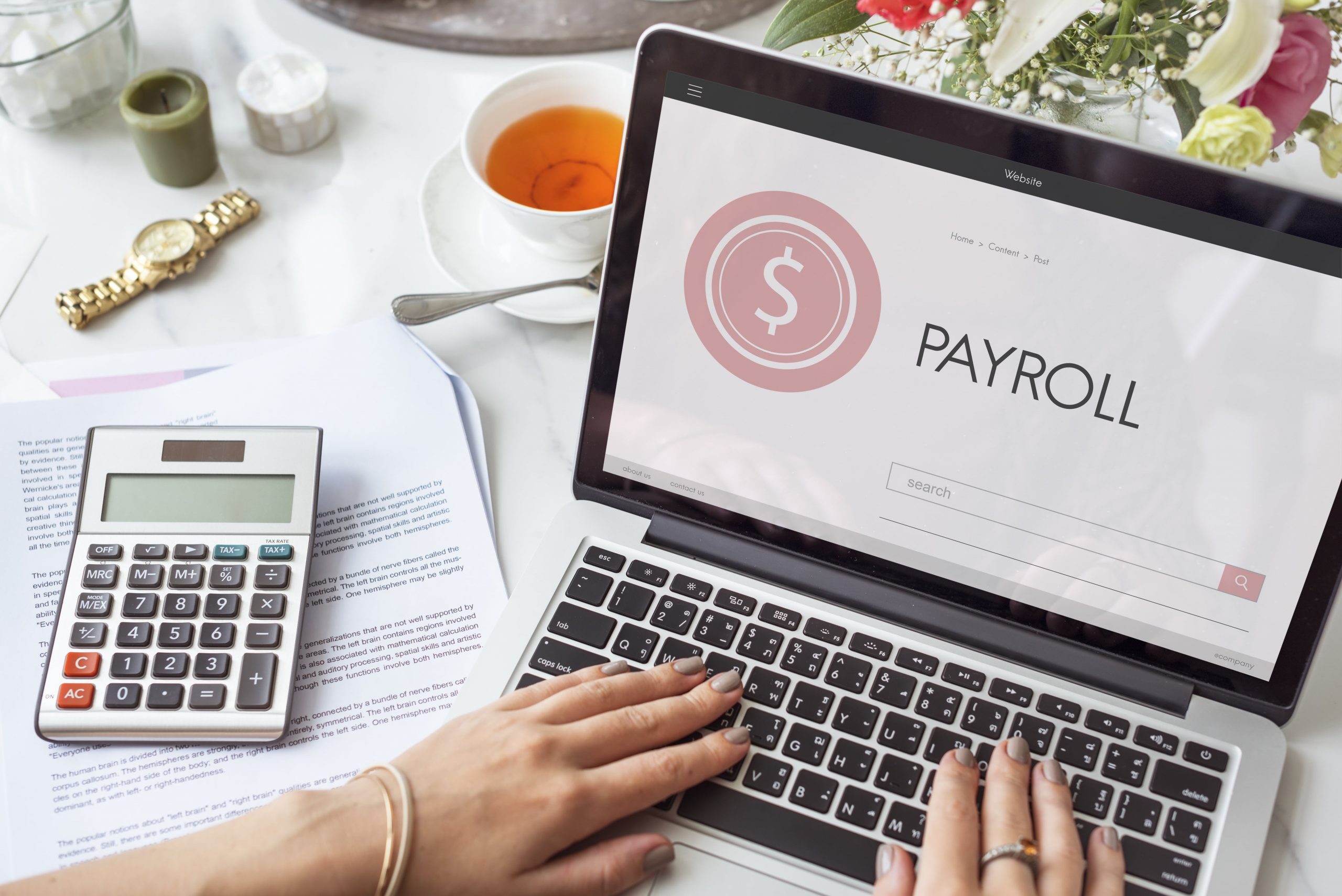 What Is Single Touch Payroll (STP) and How It Works 1 account assets audit bank bookkeeping finance concept min scaled - Statewide Business Accounting Services in Australia